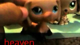 lps kids bop heaven