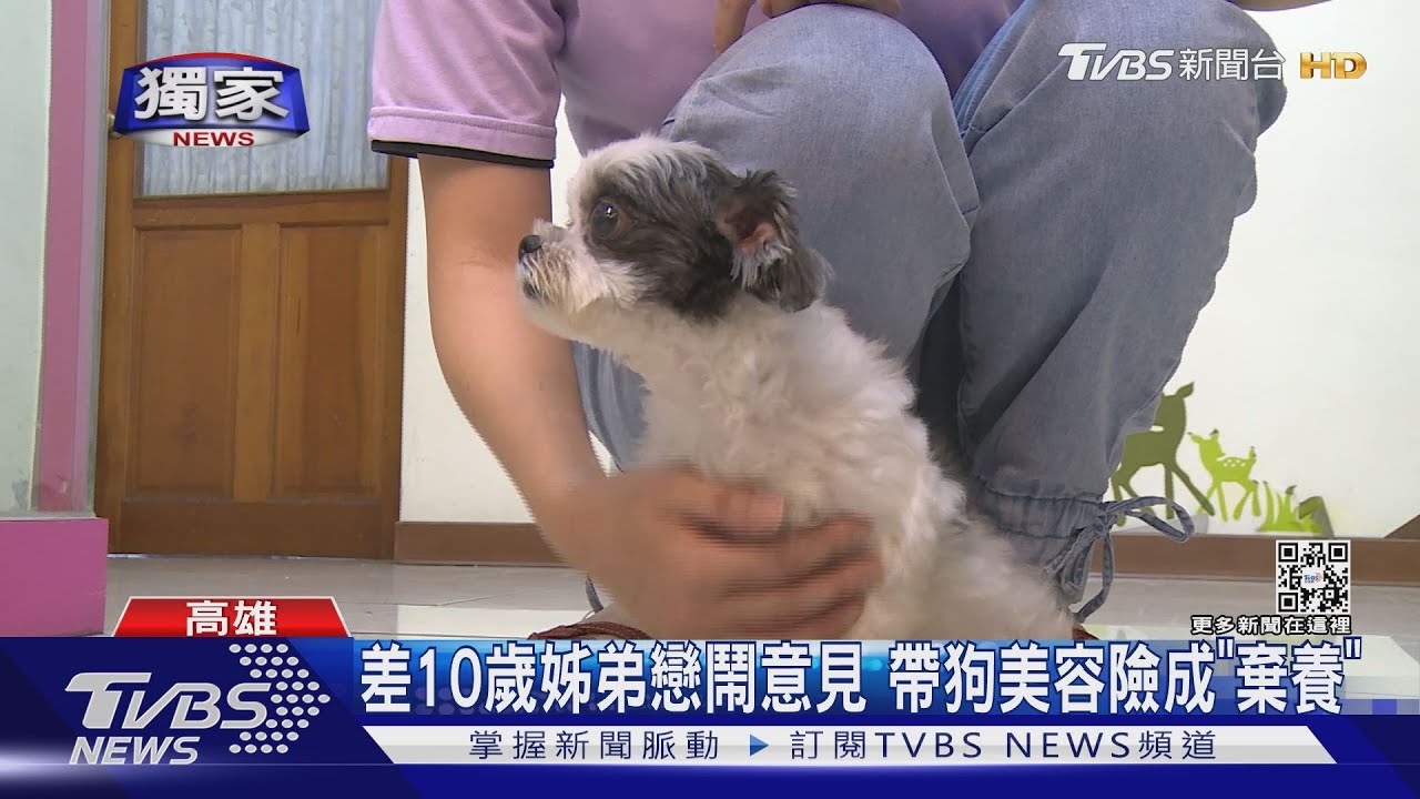差10歲姊弟戀意見鬧不合 帶狗美容險成「棄養」