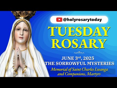 TUESDAY HOLY ROSARY 💙 JUNE 3 2025 💙 THE SORROWFUL MYSTERIES OF THE ROSARY [VIRTUAL] #holyrosarytoday