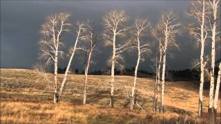 Mike Gordon - Pretend