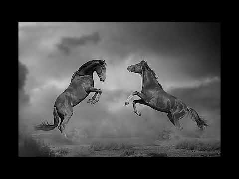 Robbie Williams - Feel cover - Dominik Rutkowski