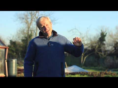 No dig explained in 3 minutes