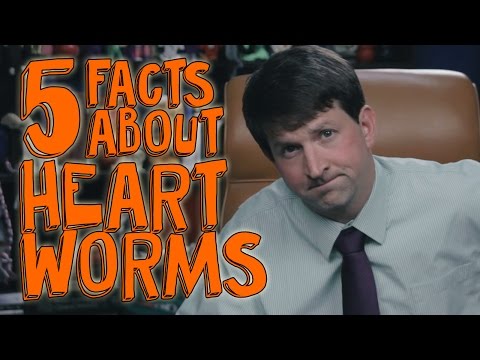 5 Things You Didn't Know About Heartworms