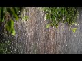 Fall Asleep in Under 1 MINUTE with Heavy Rainstorm and Deep Thunder - Real Rain Sounds for Sleeping