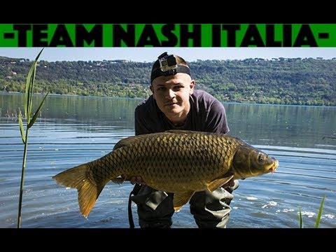 Team Nash Italia -  Febbre Da Carpfishing -