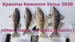 Рыбалка в камском устье летом 2020
