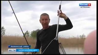 Рыбалку в астрахани сезон когда запрет на