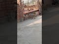 Ro Ro Ke Rupa Mar Jayegi Song