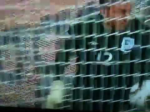 (HD) Robert Green own goal - 2010 world cup  -  England V USA 12 (First On Youtube!)