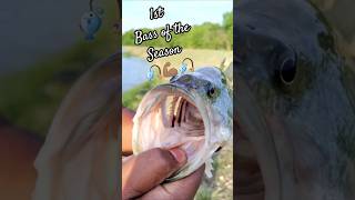 1st Bass of the Season 🎣 #bassfishing #texasfishing #largemouthbass #fyp #fishinglife #fishing