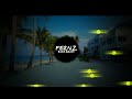 DJ FLORIDA CAKE SLOWED REMIX DJ FERNZ BASS