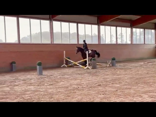 Under the saddle