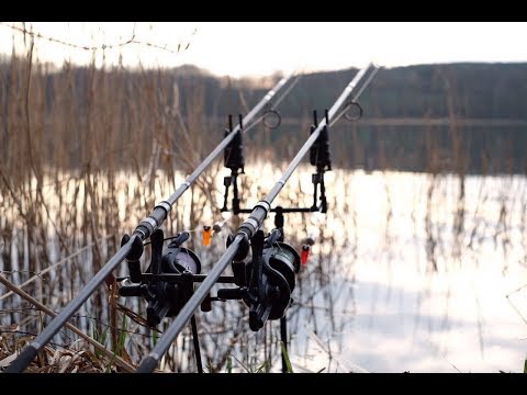 Karpfenangeln in Mecklenburg Vorpommern - Herbstsession auf Karpfen an einem Natursee