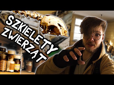 OPUSZCZONA SZKOŁA W ŚWIETNYM STANIE - URBEX