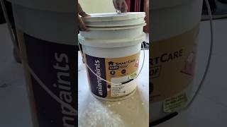 asian paint damp proof | how to fix wall damp