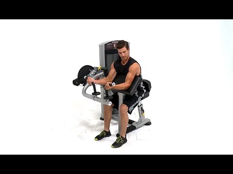 TRUE Force Biceps - Triceps