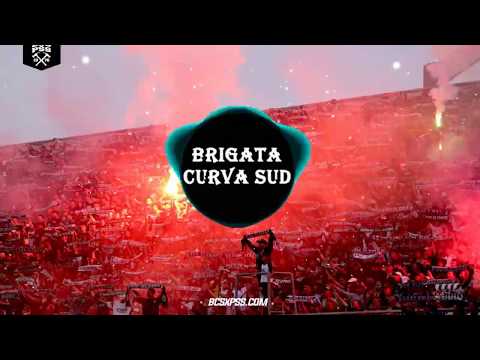 TERBARU KOMPILASI #3 CAMPUS BOIS - OUR TRIBUN OUR RULES