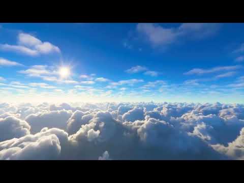 MarkH - a selection of lenzman's finest