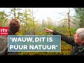 Hoe een zware storm heeft gezorgd voor nieuwe biodiversiteit | ROEG! | RTV Drenthe