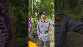 Download lagu Mengunjungi Ibu mp3 Download lagu Mengunjungi Ibu mp3