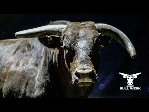 PBR Legend: Little Yellow Jacket