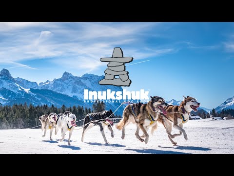 Our Customers get the Freshest Inukshuk Dog Food on the Market; Shipped Direct