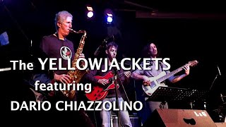 Blue Note - Yellow Jackets feat Dario Chiazzolino