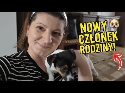 VLOG // First days are always difficult // Christmas decorations packed