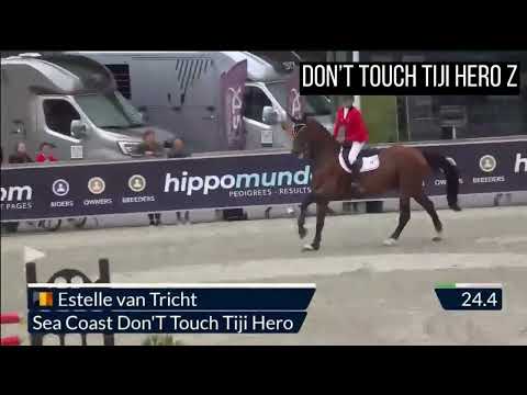 Don't Touch Tiji Hero Z - 1.45 level - Estelle Van Tricht