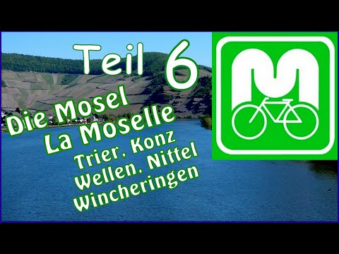 Mosel-Radweg #6 Trier, Konz, Saarmündung, Wellen, Nittel, Wincheringen [ Radtouren Radreisen ]