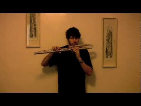 Bass Flute Solo Improv by Brian Landrus