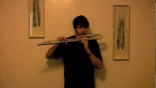 Bass Flute Solo Improv by Brian Landrus