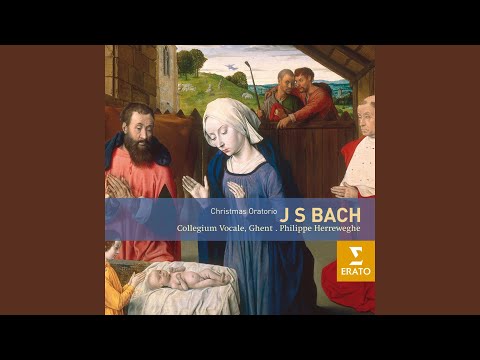 Weihnachtsoratorium, BWV 248, Pt. 2: No. 19, Aria. "Schlafe, mein Liebster"