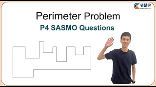 SASMO P4 2024 Q18 —— Perimeter Problem