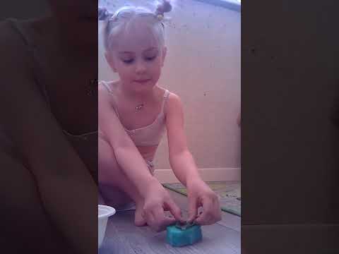 гусеница дома