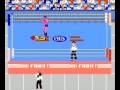 8 bit Wrestler 