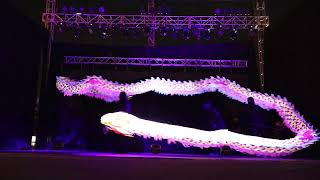 Danza del dragon en Chile