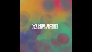 We Need Secrets - Auster