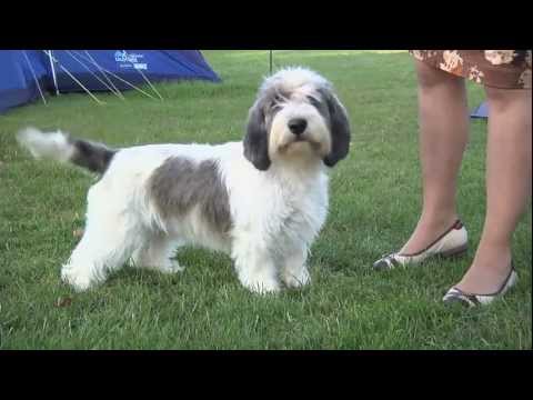 Around the Dog World - Best of 2011 - Episode 3