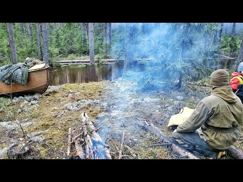 К нам на север прилетели журавли!