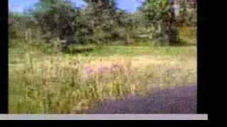 Underground - Scott Garriott