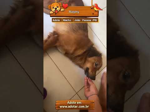 Vídeo de Ralphy