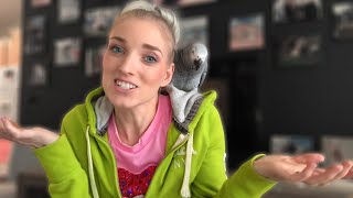 Starter Birds | WHAT&#39;S A GOOD FIRST BIRD? WHAT BIRD SHOULD YOU GET?