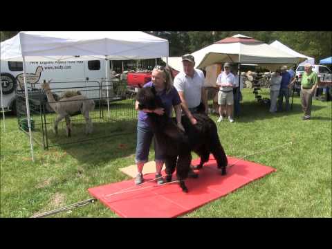 Westport Farmer's Market at The Town Farm, Westport, MA.