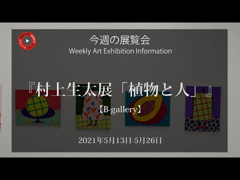 jardin-avec-piscine-bel-eclairage-forme-rectangulaire-deco-murale-interieure