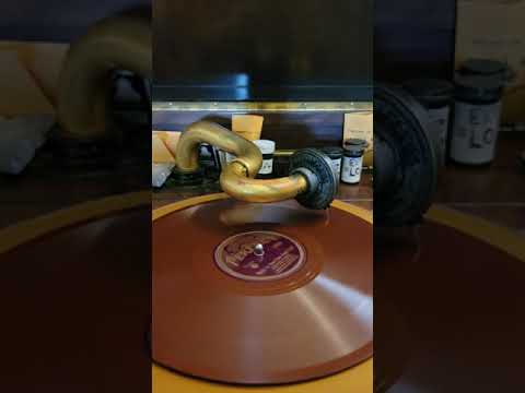 Back in Your Own Backyard - Doc Ross and his Hotel Rice Orchestra Perfect Records #14949 1928