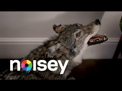 New Build - Luminous Freedom (Official Video)