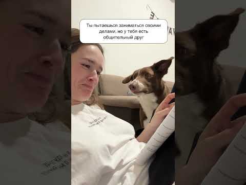 Мастер намёков и гений убеждения