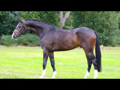 Wallach von Foundation