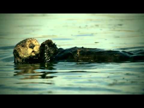 Rađanje zemlje SEZONA 4 EP 1 - Ponedjeljak 17:00